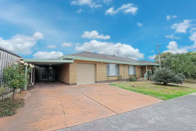 1 Walpole Avenue, Belmont VIC 3216