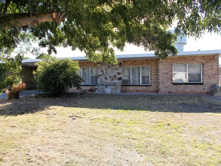 26 Haynes Street, Bordertown SA 5268