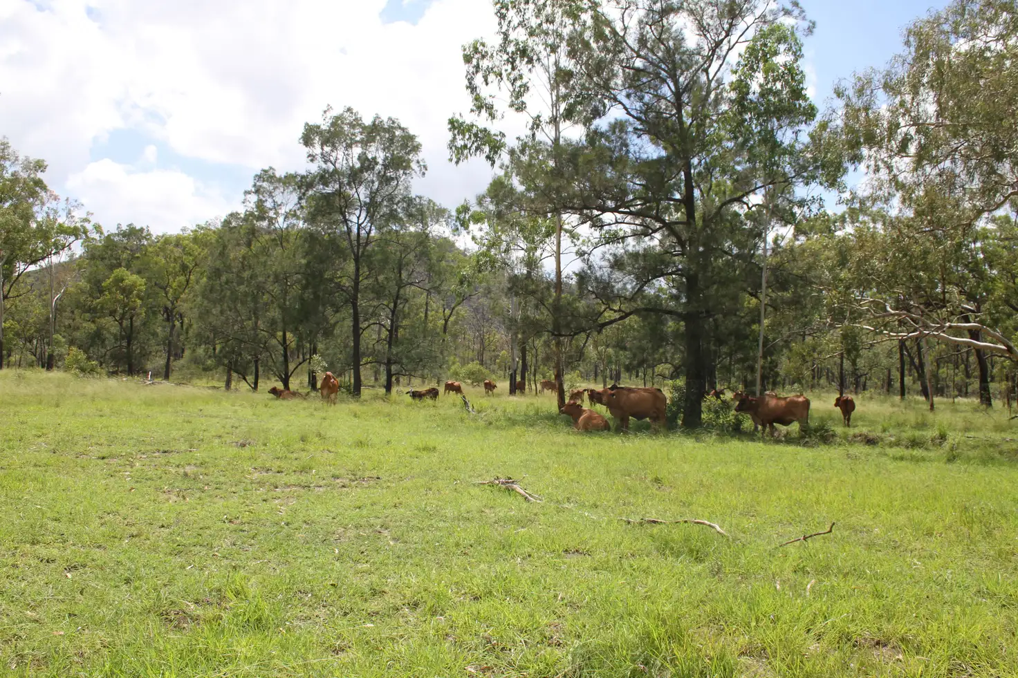 Main view of Homely rural property listing, Lot 14 Atkinson Road, Kunwarara QLD 4702