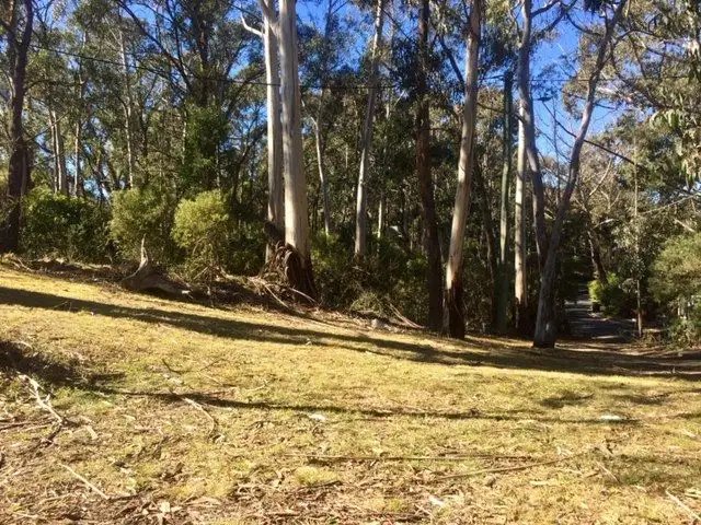 157 Victoria Street, Mount Victoria NSW 2786