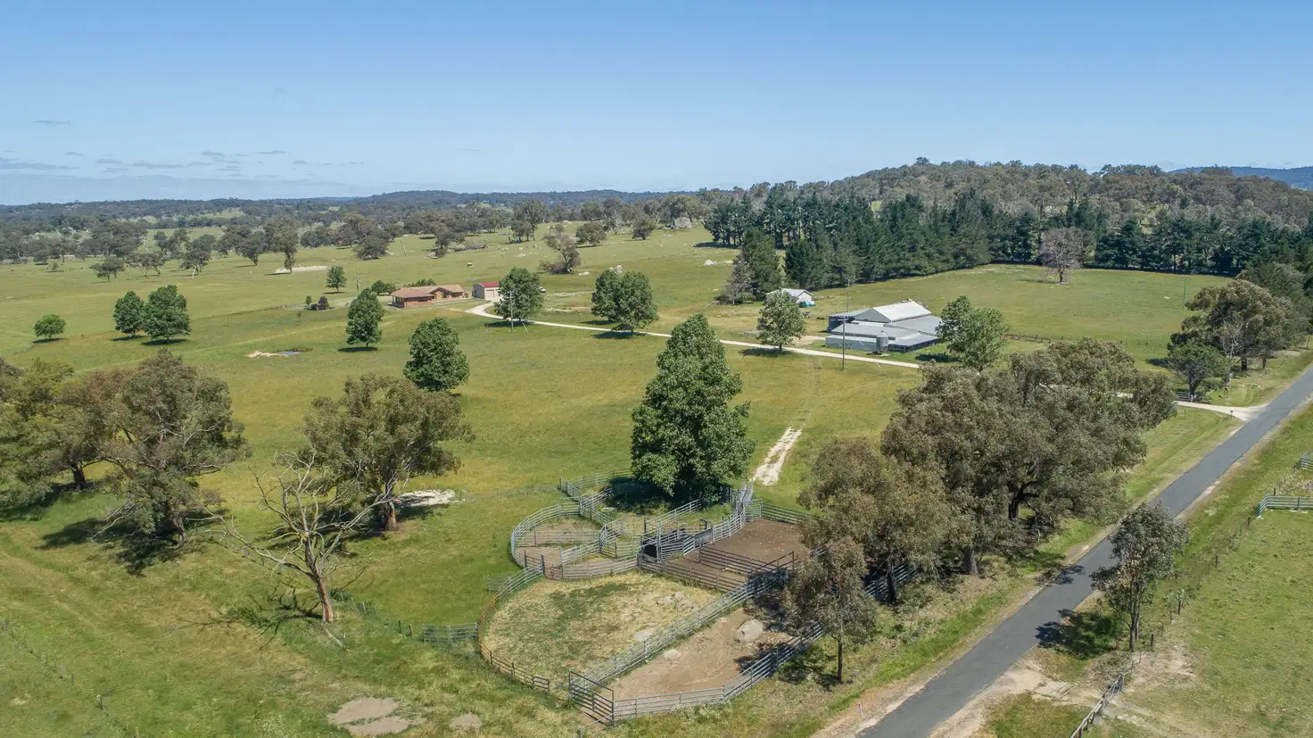 Main view of Homely rural property listing, 286 Mount Mitchell Road, Guyra NSW 2365