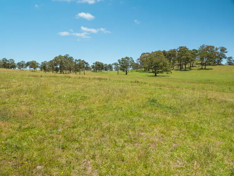 Fifth view of Homely rural property listing, 286 Mount Mitchell Road, Guyra NSW 2365