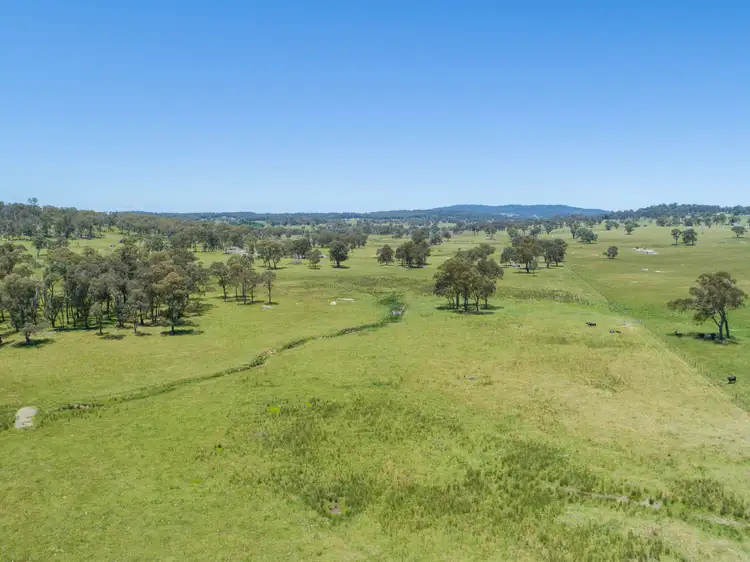 Seventh view of Homely rural property listing, 286 Mount Mitchell Road, Guyra NSW 2365