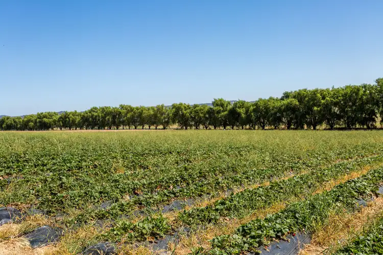 Fifth view of Homely land listing, 15 Melba Highway, Coldstream VIC 3770