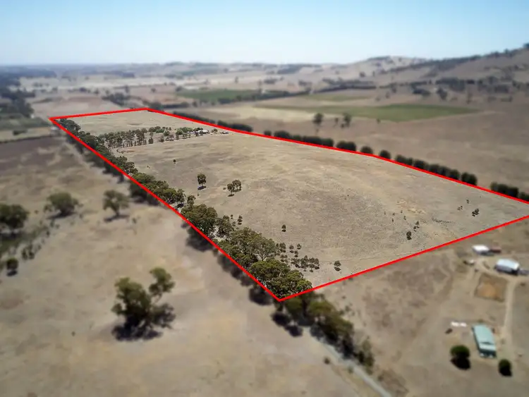 Third view of Homely rural property listing, 132 Tranter Road, Toolleen VIC 3551