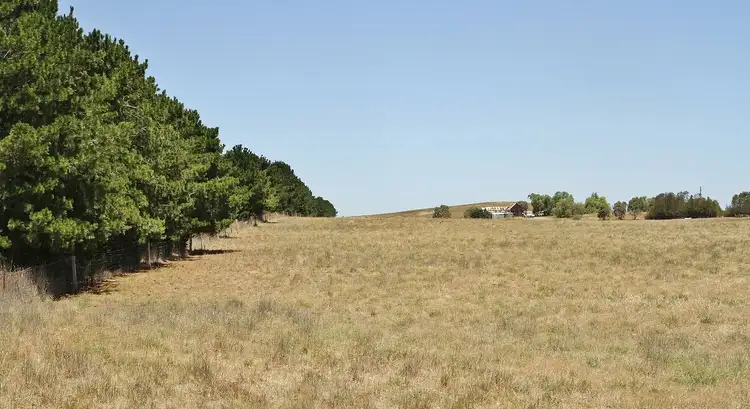 Seventh view of Homely rural property listing, 132 Tranter Road, Toolleen VIC 3551