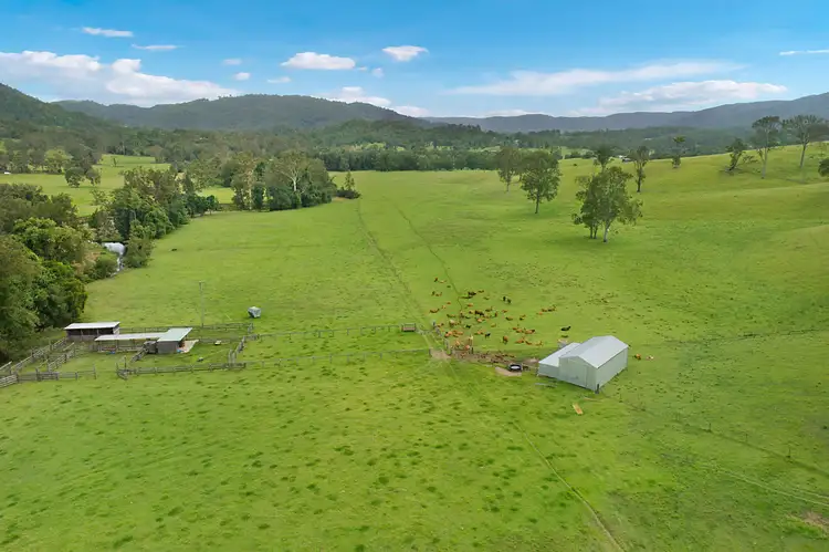 Third view of Homely rural property listing, 75 Grundon Road, Conondale QLD 4552