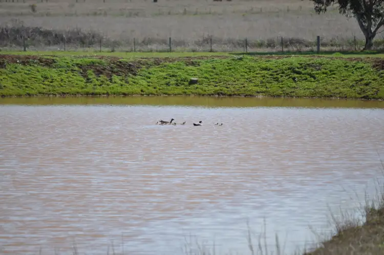 Seventh view of Homely rural property listing, Address available on request