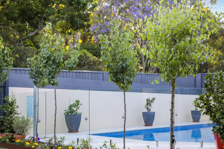 Third view of Homely house listing, 20 Pellitt Lane, Dural NSW 2158