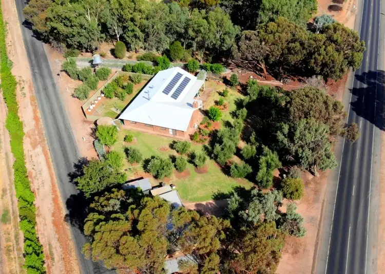 379 Ral Ral Avenue, Renmark SA 5341