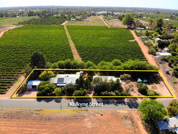 429 Kulkyne Street, Renmark SA 5341