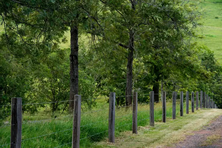 Third view of Homely rural property listing, 55 Jerry Creek Road, Langshaw QLD 4570