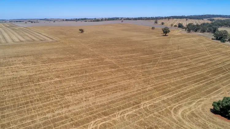 Main view of Homely rural property listing, Lot 202 Avondale Road, Riverton SA 5412