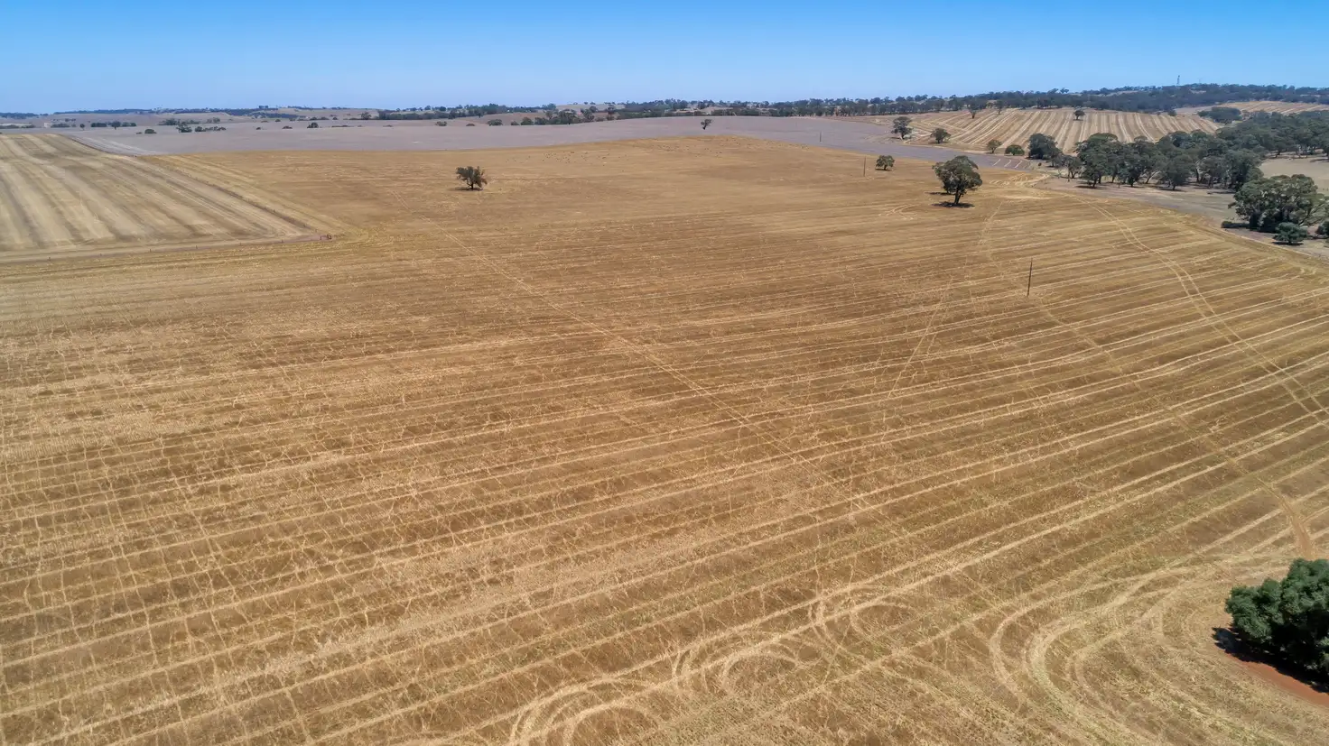 Main view of Homely rural property listing, Lot 202 Avondale Road, Riverton SA 5412