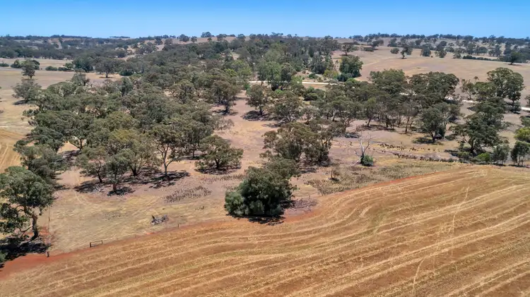 Second view of Homely rural property listing, Lot 202 Avondale Road, Riverton SA 5412