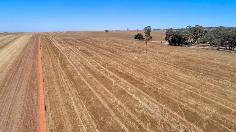 Third view of Homely rural property listing, Lot 202 Avondale Road, Riverton SA 5412