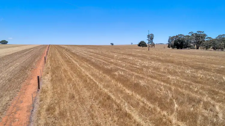 Fourth view of Homely rural property listing, Lot 202 Avondale Road, Riverton SA 5412