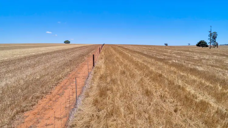 Fifth view of Homely rural property listing, Lot 202 Avondale Road, Riverton SA 5412