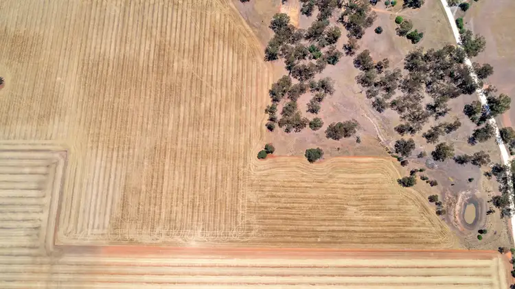 Sixth view of Homely rural property listing, Lot 202 Avondale Road, Riverton SA 5412