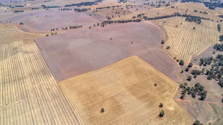 Seventh view of Homely rural property listing, Lot 202 Avondale Road, Riverton SA 5412