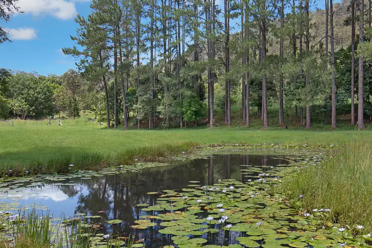 Second view of Homely rural property listing, 200 Chauviers Road, Crystal Creek NSW 2484