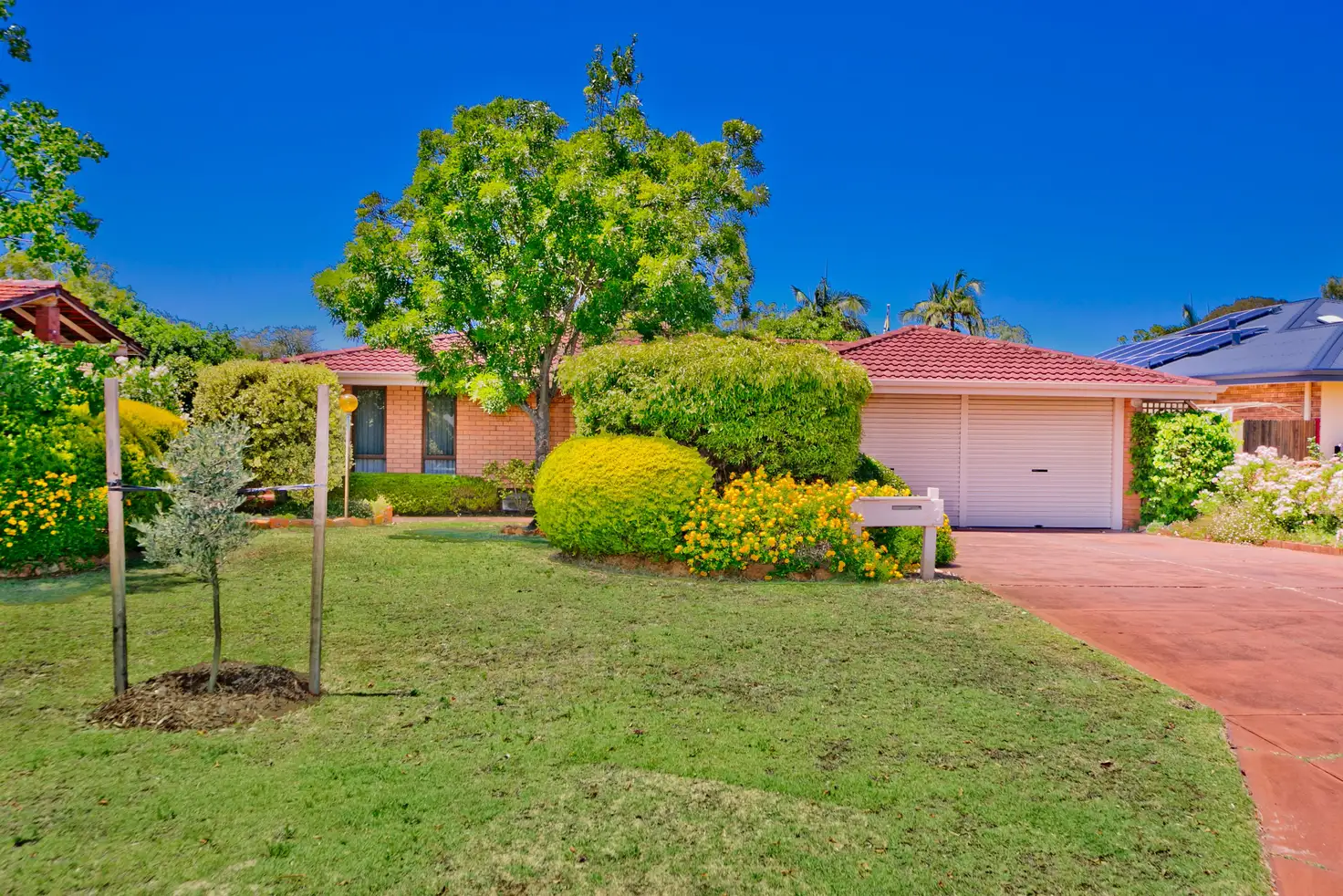 Main view of Homely house listing, 20 Bohemia Place, Noranda WA 6062
