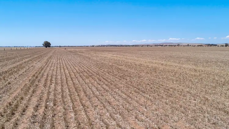 Second view of Homely rural property listing, "Merilden" Merilden Road, Mintaro SA 5415