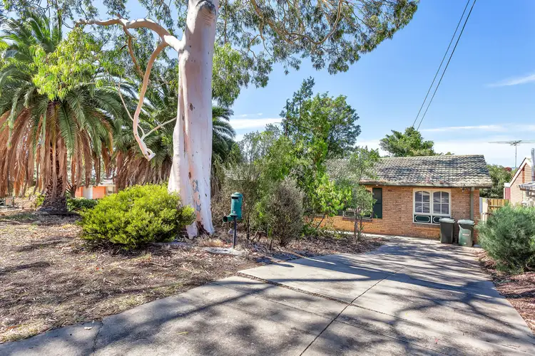 Main view of Homely house listing, 3 Kanangra Road, Dernancourt SA 5075