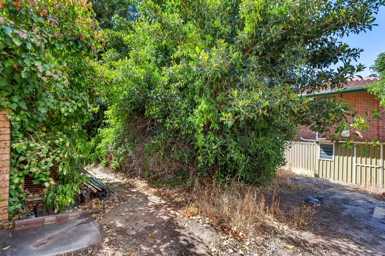 Fifth view of Homely house listing, 3 Kanangra Road, Dernancourt SA 5075