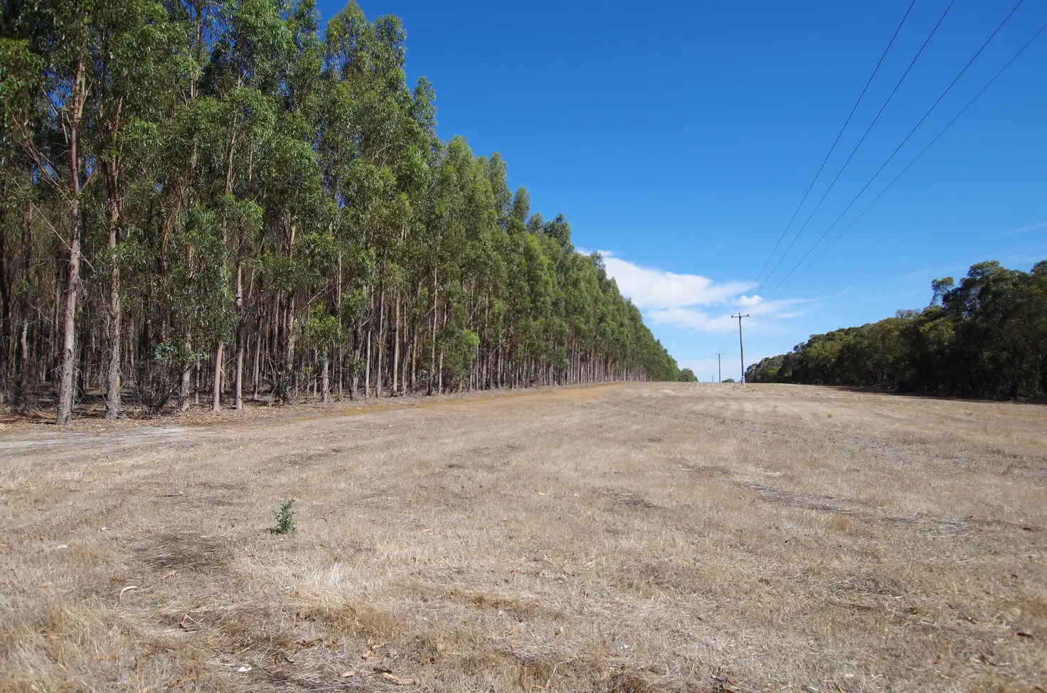 Main view of Homely rural property listing, 722 Watermans Road, Narrikup WA 6326
