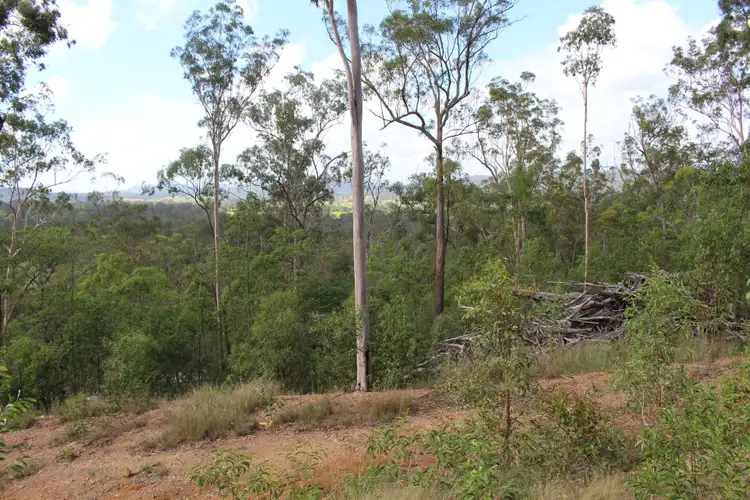 Fifth view of Homely rural property listing, 0 Dan Meurant Drive, Curra QLD 4570