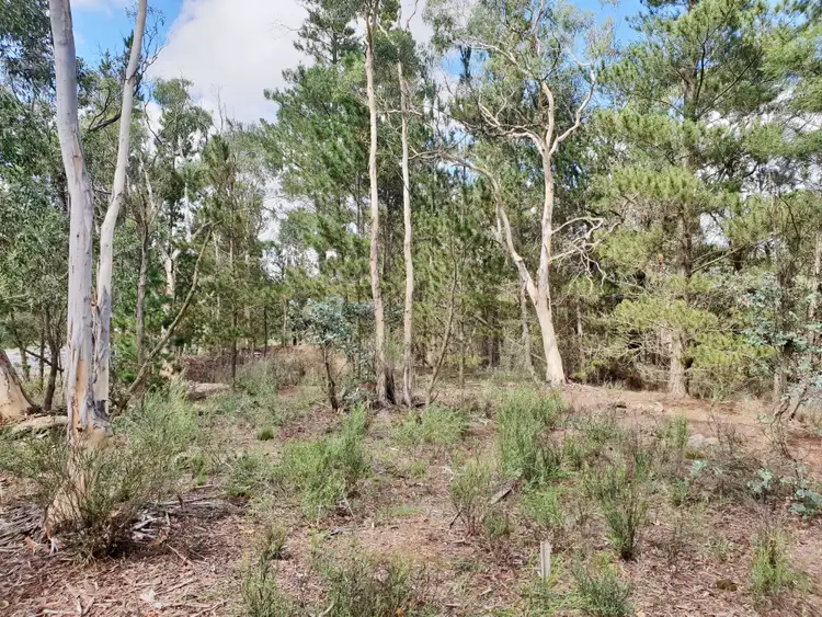 Third view of Homely rural property listing, 124 Nerriga Road, Braidwood NSW 2622