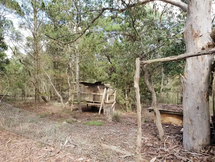 Fourth view of Homely rural property listing, 124 Nerriga Road, Braidwood NSW 2622