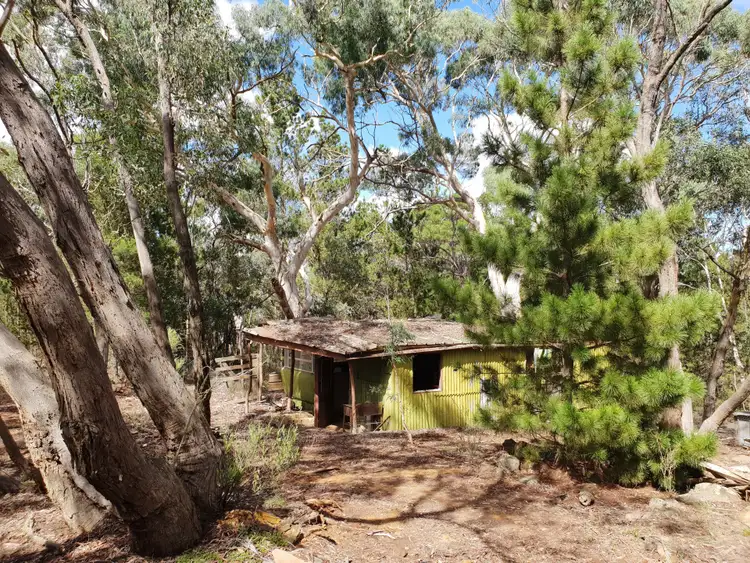 Seventh view of Homely rural property listing, 124 Nerriga Road, Braidwood NSW 2622
