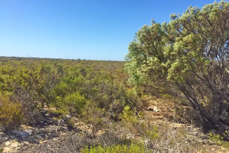 Fourth view of Homely land listing, Lot 405 Ridge Way, Jurien Bay WA 6516