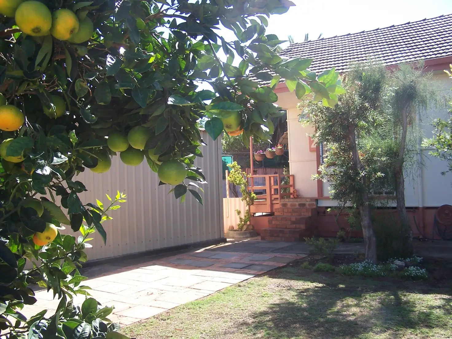 Main view of Homely house listing, 25 Felicia Street, Rangeway WA 6530