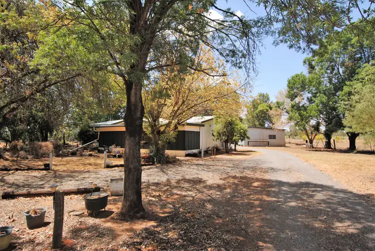 Main view of Homely rural property listing, 1479 Wakley Road, Yenda NSW 2681