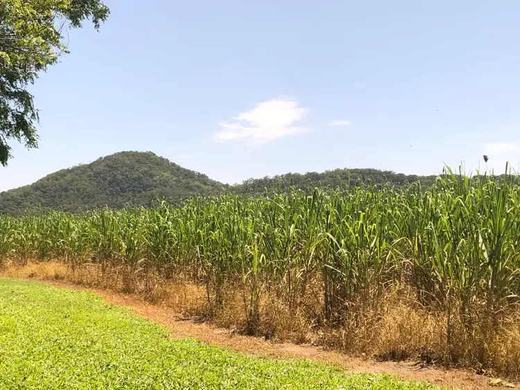 Fifth view of Homely house listing, 46 Alchera Drive, Mossman QLD 4873