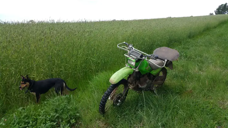 Second view of Homely rural property listing, 8 Winters Road, Glen Innes NSW 2370