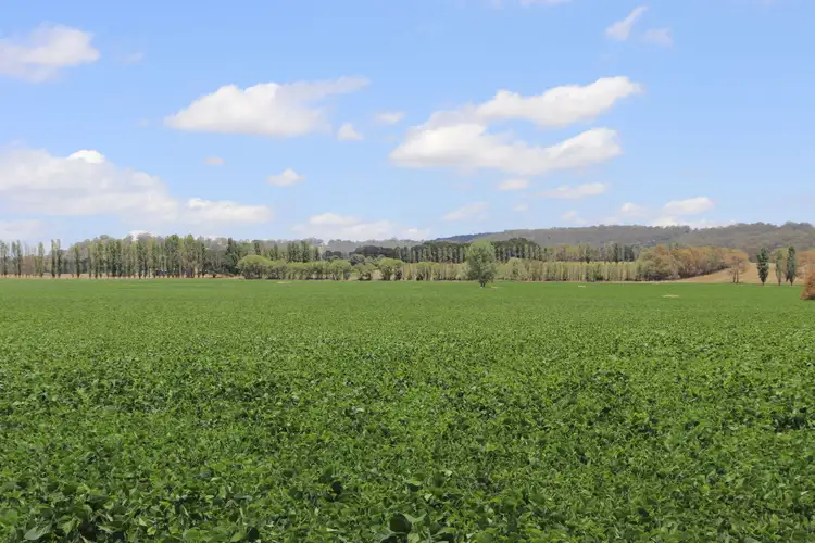 Fourth view of Homely rural property listing, 8 Winters Road, Glen Innes NSW 2370