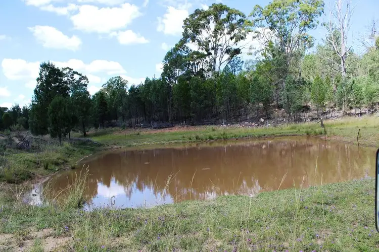 Second view of Homely rural property listing, 161 Reserve Road, Thanes Creek QLD 4370
