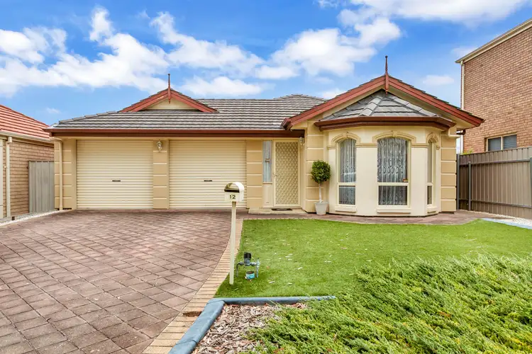 12 McFarlane Avenue, Mitchell Park SA 5043