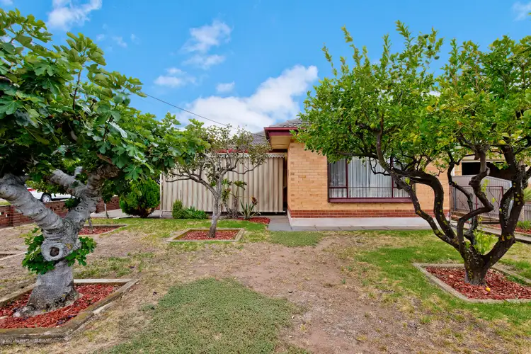 Main view of Homely house listing, 33 Norman Street, Findon SA 5023