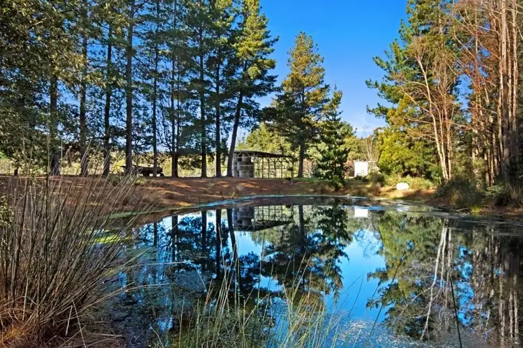 Seventh view of Homely house listing, 339 Paling Track, Bangor TAS 7267