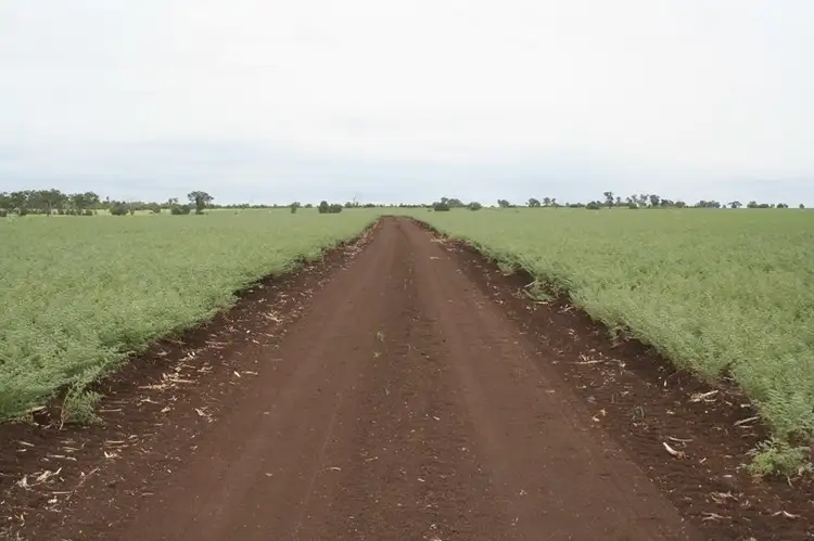 Main view of Homely rural property listing, . Kinsale, Clermont QLD 4721
