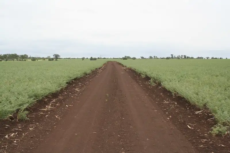 Main view of Homely rural property listing, . Kinsale, Clermont QLD 4721