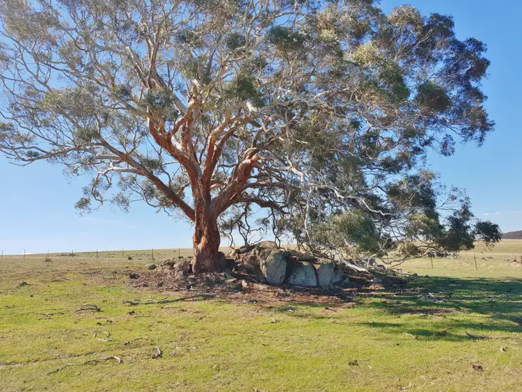 192b Boro Road, Tarago NSW 2580