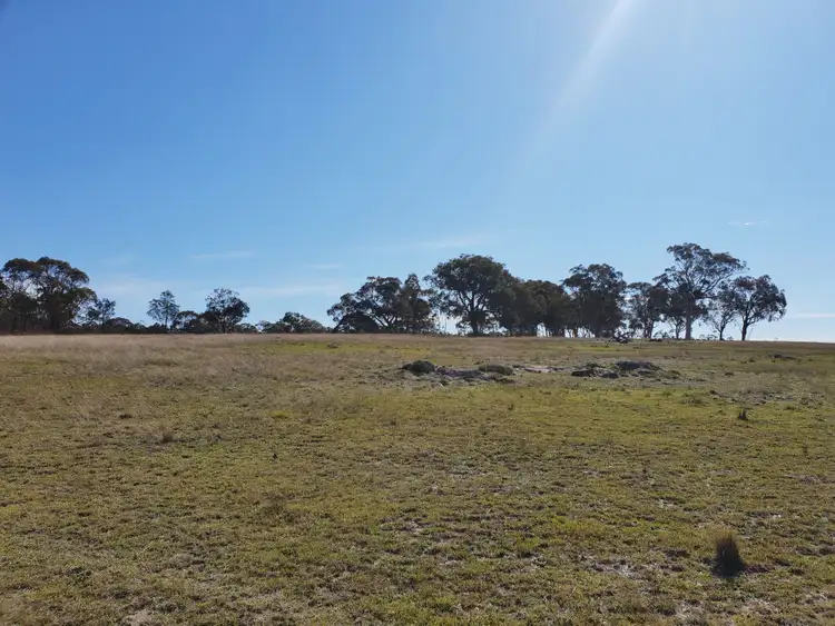 Seventh view of Homely rural property listing, 192b Boro Road, Tarago NSW 2580