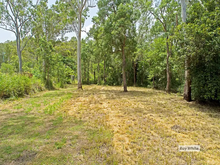 Main view of Homely land listing, 570 Coorooman Creek Road, Cawarral QLD 4702