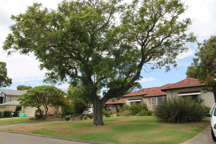 Third view of Homely house listing, 7 Ventnor Avenue, Mount Pleasant WA 6153